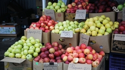 Овощи для борща и яблоки нового урожая можно будет купить на ярмарках в Ставрополе
