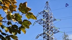 Техобслуживание 1,1 тыс. км линий электропередачи пройдёт на Ставрополье
