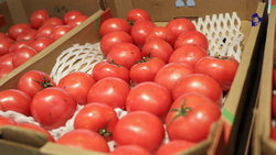 Ярмарки на двух площадках проведут в Ставрополе в эту субботу