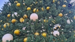 Ставропольцев приглашают поучаствовать в акции «Ёлка желаний»