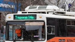 Троллейбусный парк Ставрополя расширят на 45 единиц